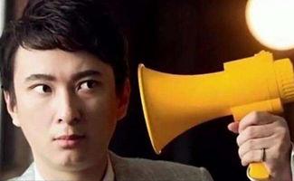 娱乐圈吃瓜配文小说推荐